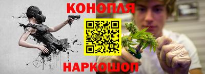 сатива Гатчина