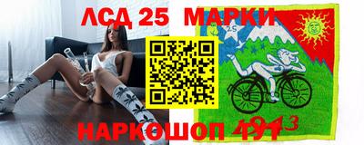 сатива Гатчина