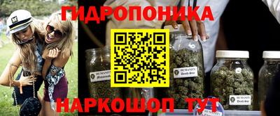 сатива Гатчина
