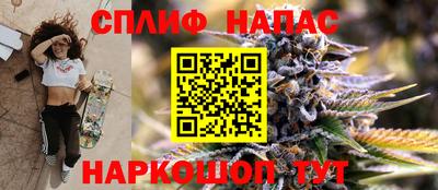 сатива Гатчина