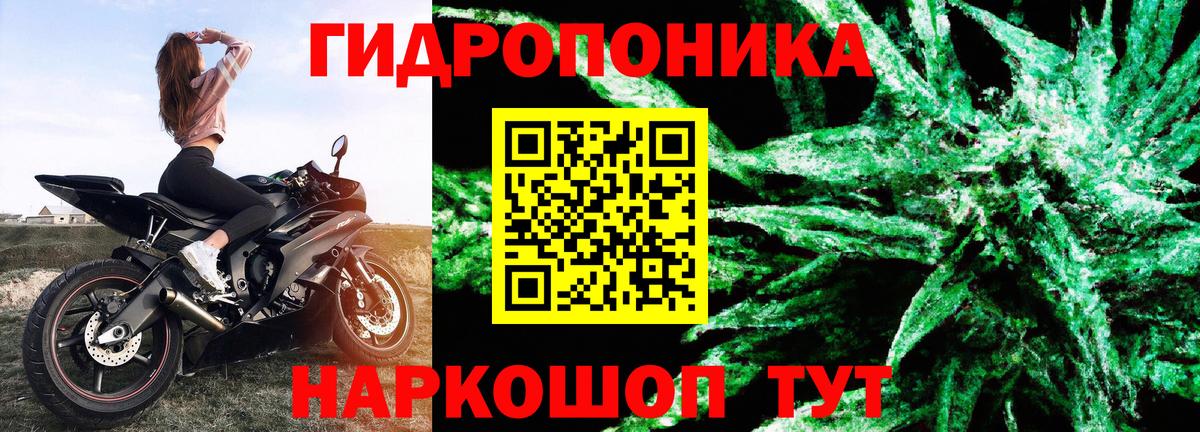 Марихуана сатива Нефтеюганск